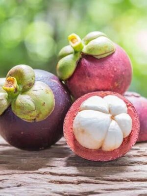 mangosteen-3-pli-1 Mangosteen Fruit Plant