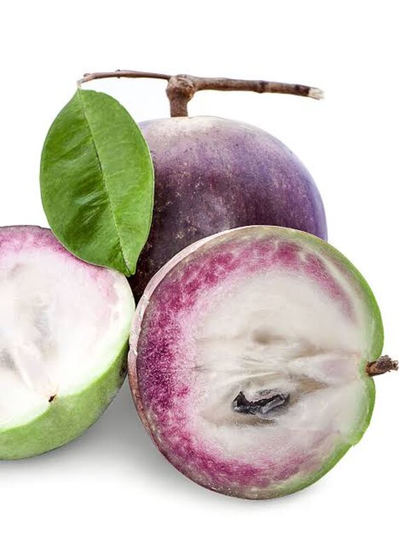 Milk Fruit Plant