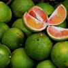 near-sweet-orange-pli Sweet Orange Fruit Plant