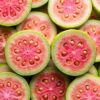 Thai Red Guava Plant
