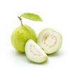 thai-7-guava-pli Thai 7 Guava Plant