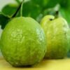 Thai Kg Guava Fruit Plant