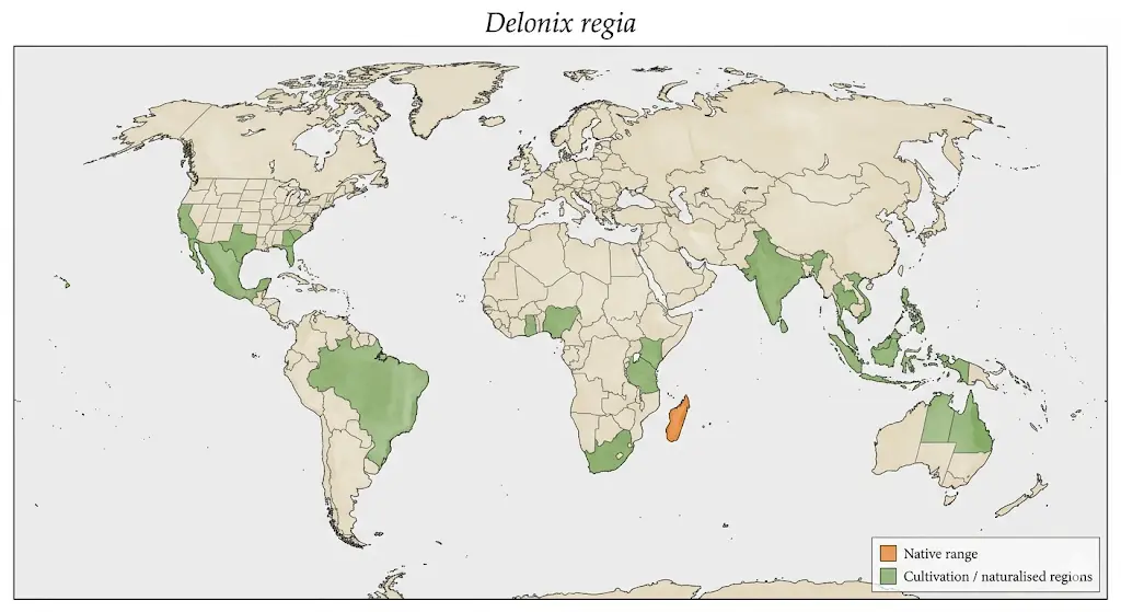 A world map in a scientific botanical atlas style showing the geographic distribution of Delonix regia. Madagascar is highlighted in orange as the native range, while specific regions in Asia, Africa, the Americas, and Australia are highlighted in green to indicate cultivation and naturalized areas.