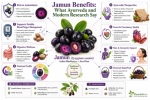Infographic explaining Jamun benefits, including antioxidant content, digestive wellness, nutrient profile, Ayurvedic uses, heart health, skin support, and modern scientific research on Syzygium cumini.