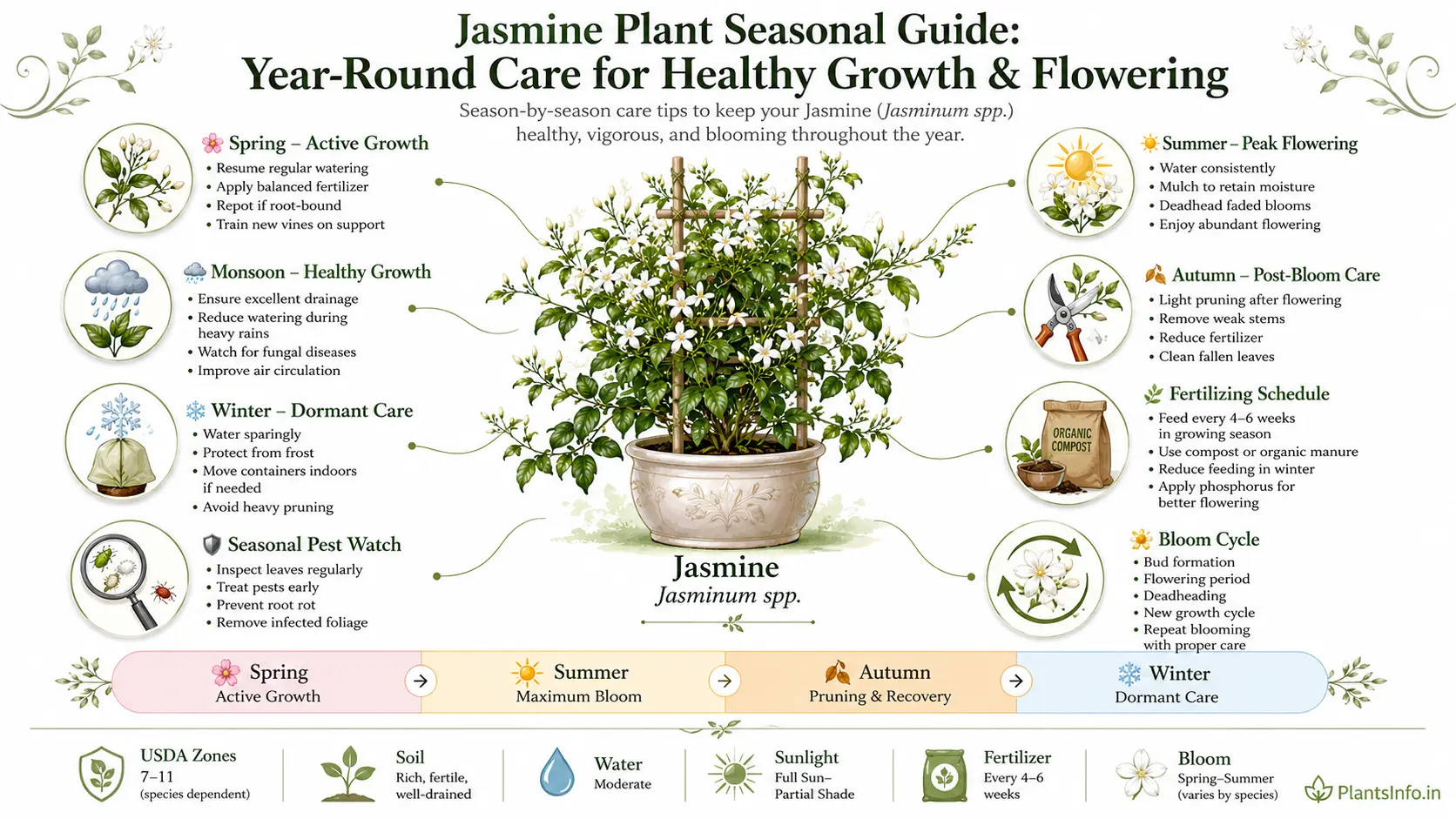 Seasonal care infographic for jasmine plants (Jasminum spp.) showing spring, summer, monsoon, autumn, and winter care, fertilizing schedule, pest management, bloom cycle, and year-round growing tips.