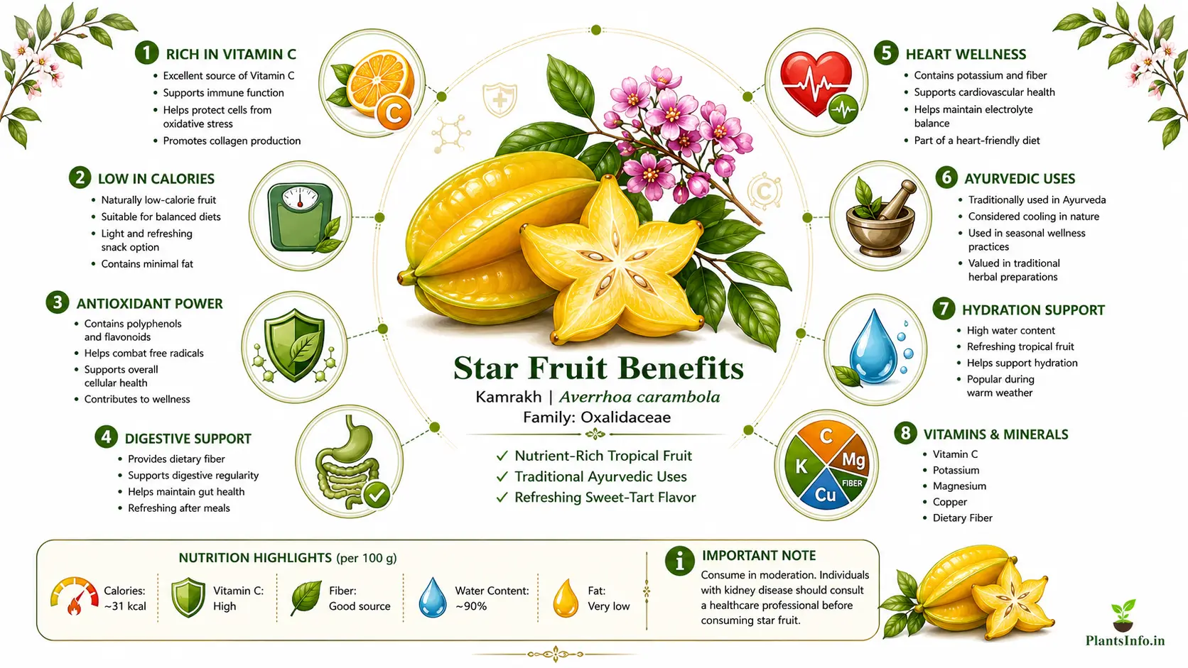 Star Fruit Benefits infographic showing nutrition facts, vitamin C, antioxidants, digestive support, Ayurvedic uses, hydration benefits, minerals, and health advantages of Averrhoa carambola.