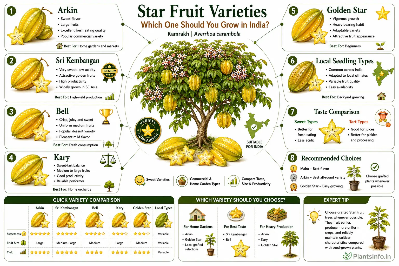 Star Fruit varieties infographic comparing Arkin, Sri Kembangan, Bell, Kary, Golden Star, and local seedling types by sweetness, fruit size, yield, and suitability for Indian gardens.
