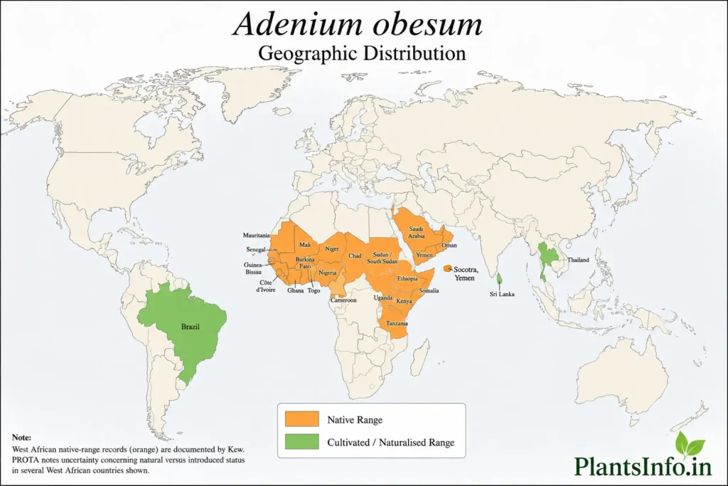adenium-obesum-geographic-distribution