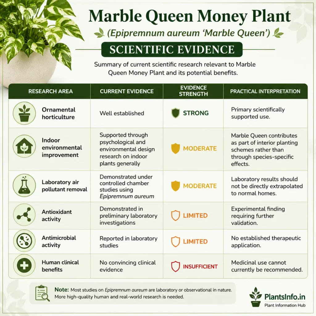 Scientific evidence infographic for Marble Queen Money Plant covering horticulture, air pollutant removal, antioxidant, antimicrobial, and clinical evidence.